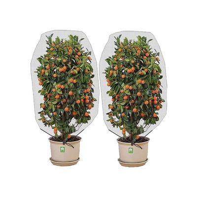 Agriculture HDPE Plastic Anti Insect Mesh Insect Proof Net for Cover Fruit Tree Protection Mesh Bag Effective Pest Control