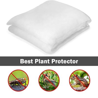 Agriculture HDPE Plastic Anti Insect Mesh Insect Proof Net for Cover Fruit Tree Protection Mesh Bag Effective Pest Control