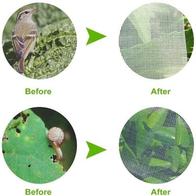 Agriculture HDPE Plastic Anti Insect Mesh Insect Proof Net for Cover Fruit Tree Protection Mesh Bag Effective Pest Control