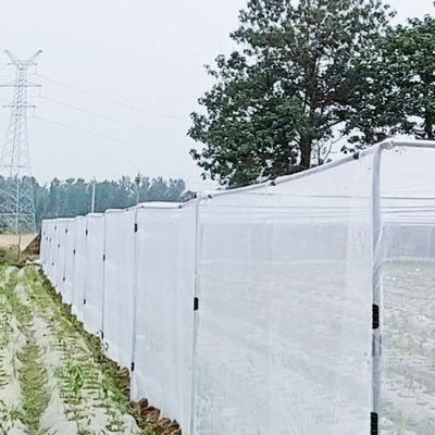 HDPE Nylon Insect Screen Mesh for Sustainable Agricultural Greenhouse and Vegetable Gardens