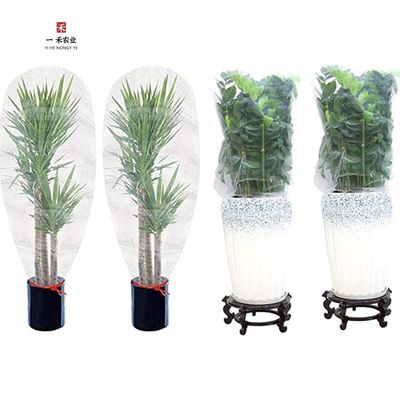 HDPE Anti-ultraviolet Insect Netting Bag for Fruit Protection Solution