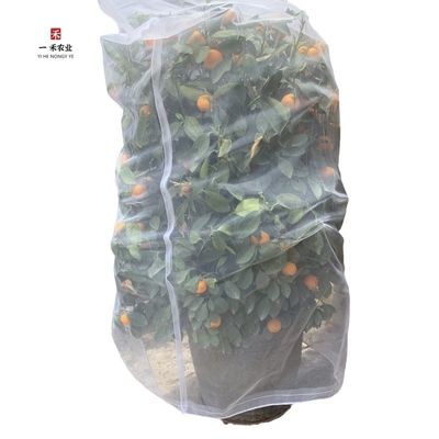 HDPE Anti-ultraviolet Insect Netting Bag for Fruit Protection Solution