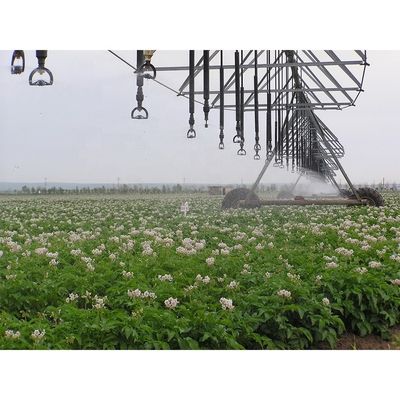 Sprinkler Center Pivot irrigation system for Agriculture Improve efficiency 2024 20ha maquina de riego de pivote central