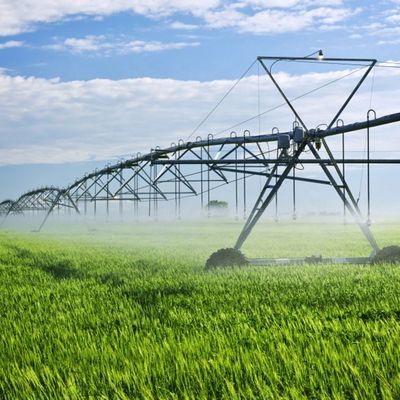 Boost Your Farm's Productivity with Metal Center Pivot Lateral Linear Move Side Roll Agriculture Irrigation System