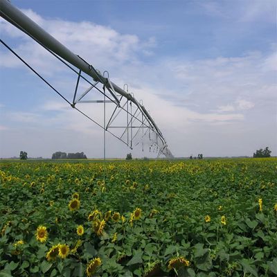 Boost Your Farm's Productivity with Metal Center Pivot Lateral Linear Move Side Roll Agriculture Irrigation System