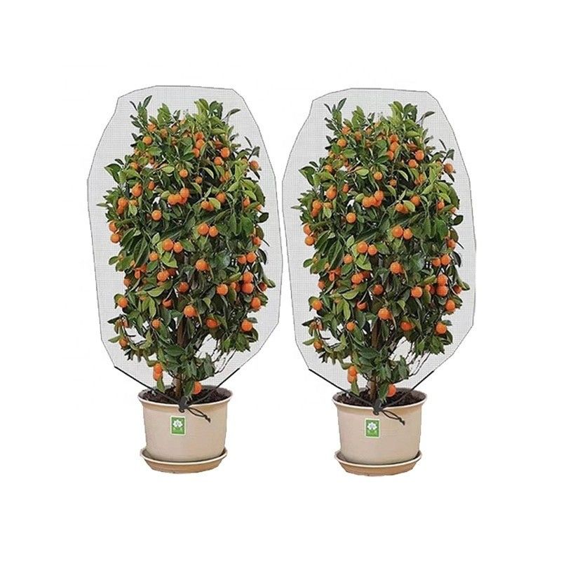 Agriculture HDPE Plastic Anti Insect Mesh Insect Proof Net for Cover Fruit Tree Protection Mesh Bag Effective Pest Control