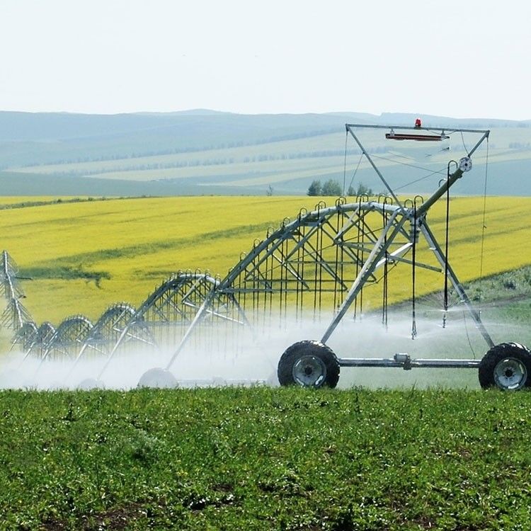 168 cm Diameter Center Pivot Irrigation System Durable and Water-Conserving for Farms